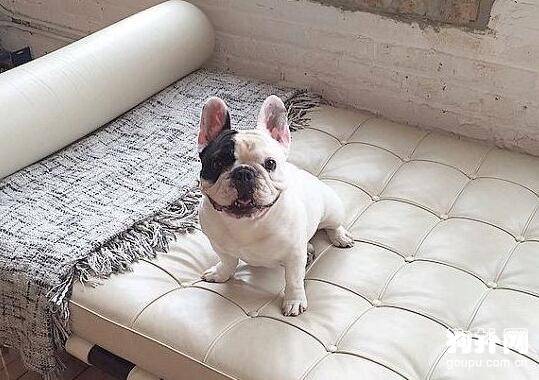 ������ţȮ��Ҫע�������