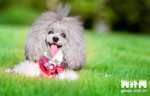 ������������ε�ע������