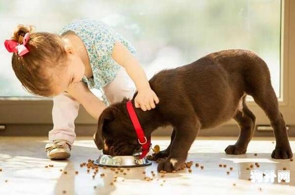 �������Զ�����ô�죿����ʳ��������ô���ƣ�