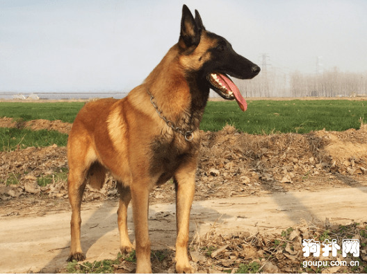 ��Ȯ��Ȯ����ȷ��������