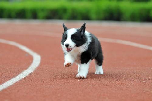 С��һ�㶼���ĸ�Ʒ�Ƶ��̷ۣ������̷��ļ�Ʒ�ƺ�