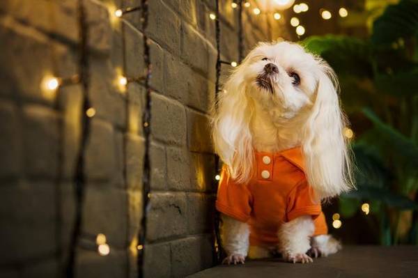 ����������Ǯ����6�ֹ��۸������������������