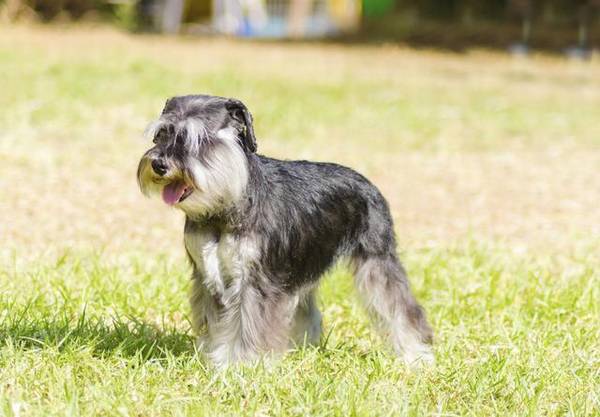 ����������Ǯ����6�ֹ��۸������������������