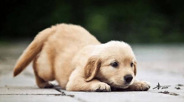 ��������ĸ���İ˴����������������Ҫ���ǣ�֮���õ���