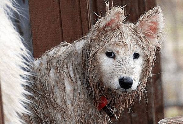 ���ڹ���߀�ǰ׹��ã���4�����գ�һĿ��Ȼ