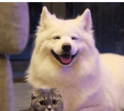 ���ڹ���߀�ǰ׹��ã���4�����գ�һĿ��Ȼ