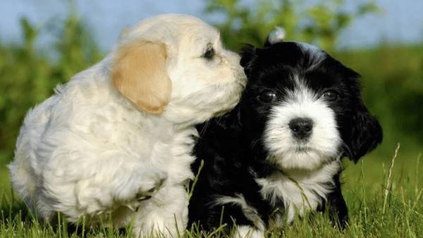 ���ڹ���߀�ǰ׹��ã���4�����գ�һĿ��Ȼ