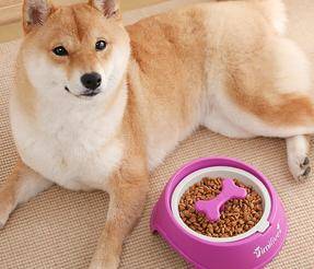 ���ڹ���߀�ǰ׹��ã���4�����գ�һĿ��Ȼ