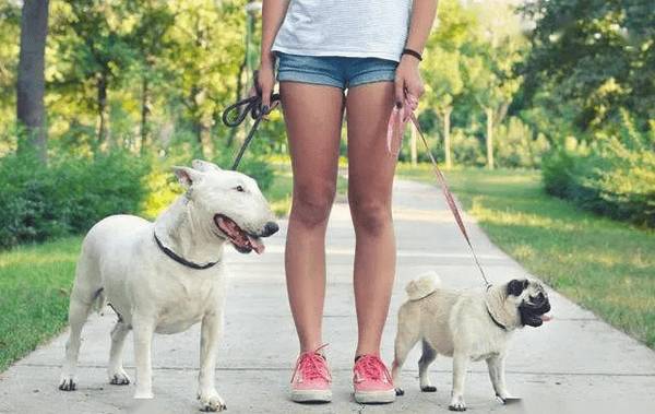 ��������ĸ���İ˴����������������Ҫ���ǣ�֮���õ���