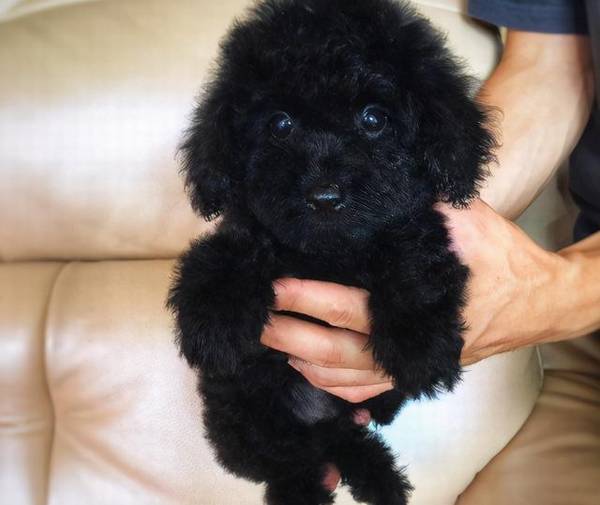 ̩���ձ��5��ͷ����ɫ���м��ﹷ����