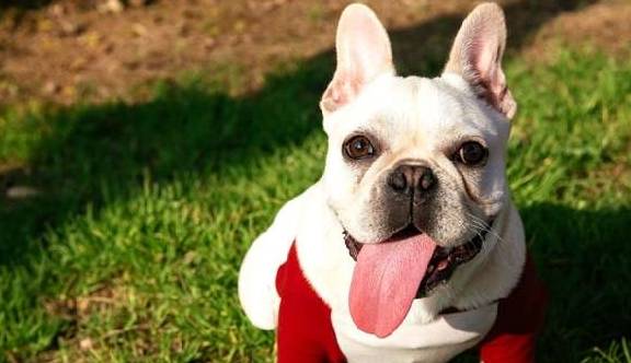 4ʿһԺˣպһֹ⿴;İ