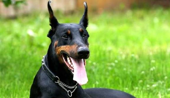 4ʿһԺˣպһֹ⿴;İ