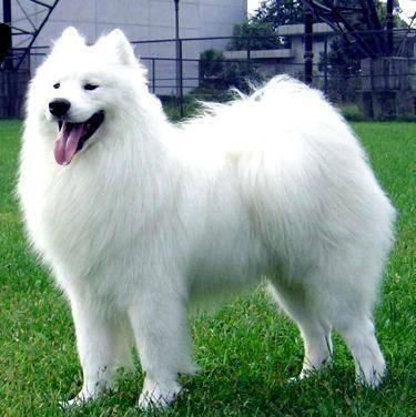 ����Ȯ��������ο�,���ɻ�ȱ��һ��רҵ����,�����ٱ�����������