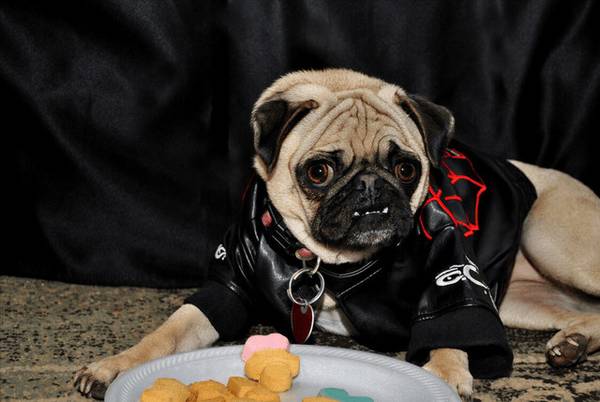 ̫�Դ������6�ְ͸�Ȯ�������Է�����Ī��