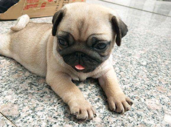 ̫�Դ������6�ְ͸�Ȯ�������Է�����Ī��