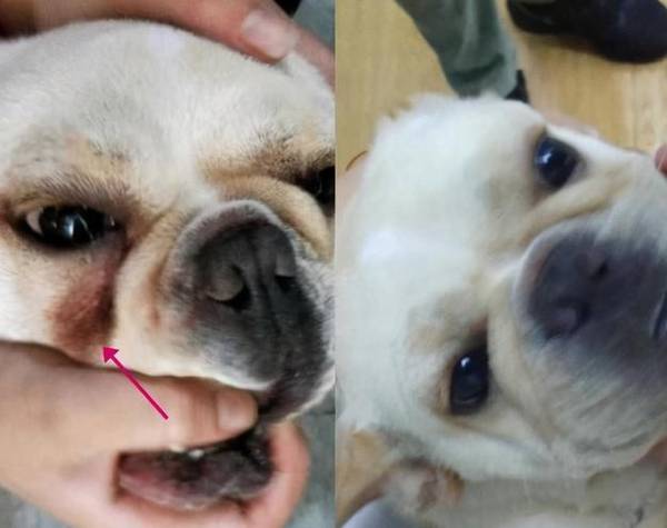 ̫�Դ������6�ְ͸�Ȯ�������Է�����Ī��