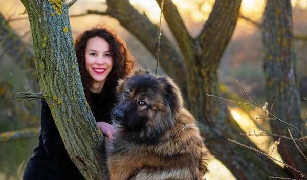 高加索犬比藏獒还要大还要凶狠的犬品种 高加索犬比藏獒还要大还要凶狠的犬品种