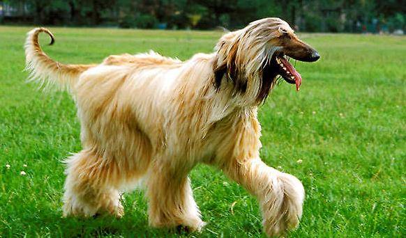 СŮ񹷡ͷεİȮǶ٣