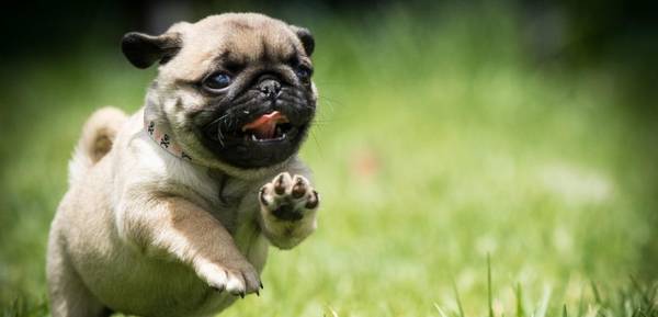 �͸�Ȯ�����������ƣ�4��ͻ��ȱ�ݣ�������ϲ���ȴ�����Ȳ���