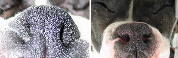 �͸�Ȯ�����������ƣ�4��ͻ��ȱ�ݣ�������ϲ���ȴ�����Ȳ���