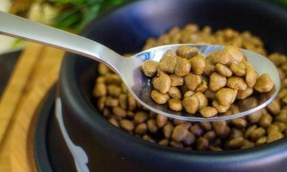 ̩��Ȯ�ͱ���Ȯ����������Щ��ͬ�������