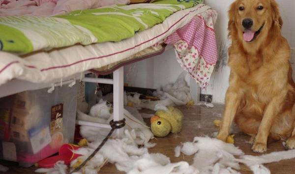 ���������а�8��ǿ�ߡ���˭��˭������