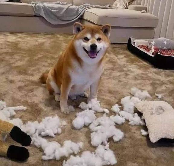 ���������а�8��ǿ�ߡ���˭��˭������