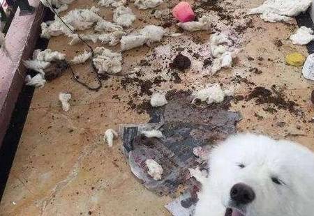 ���������а�8��ǿ�ߡ���˭��˭������