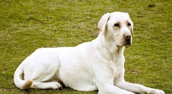 Ϊɶ���������ܱ��������ĵ�äȮ��Ե�����������ë���ڵ��ĸ�