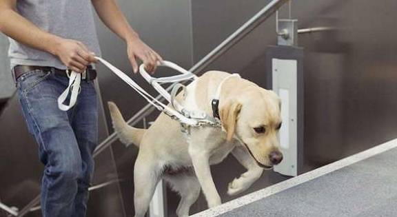 Ϊɶ���������ܱ��������ĵ�äȮ��Ե�����������ë���ڵ��ĸ�