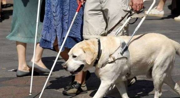 Ϊɶ���������ܱ��������ĵ�äȮ��Ե�����������ë���ڵ��ĸ�