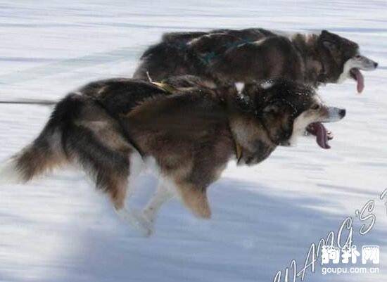 ����ȹ�ʿ������ǵ�4�ֹ�