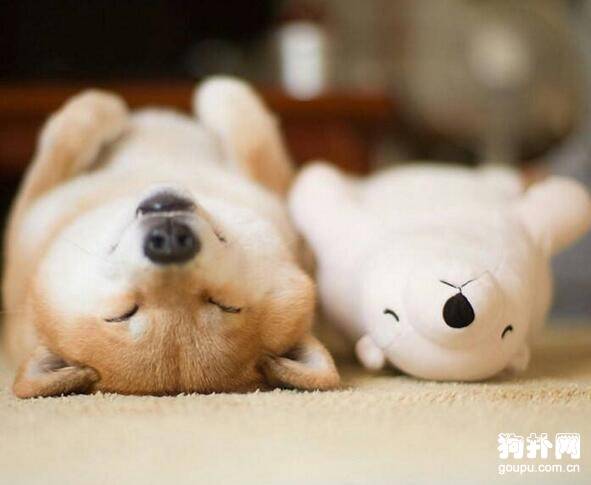 ����֪��������ʹ�õ���Щ����