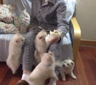 ȮָҪùƽķչֹؼҪΣ