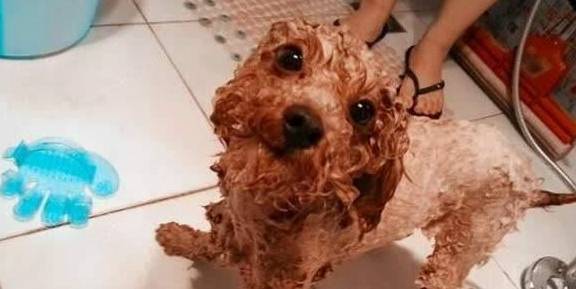 ̩ϵ4ԽԽã쿴һ°ɣ