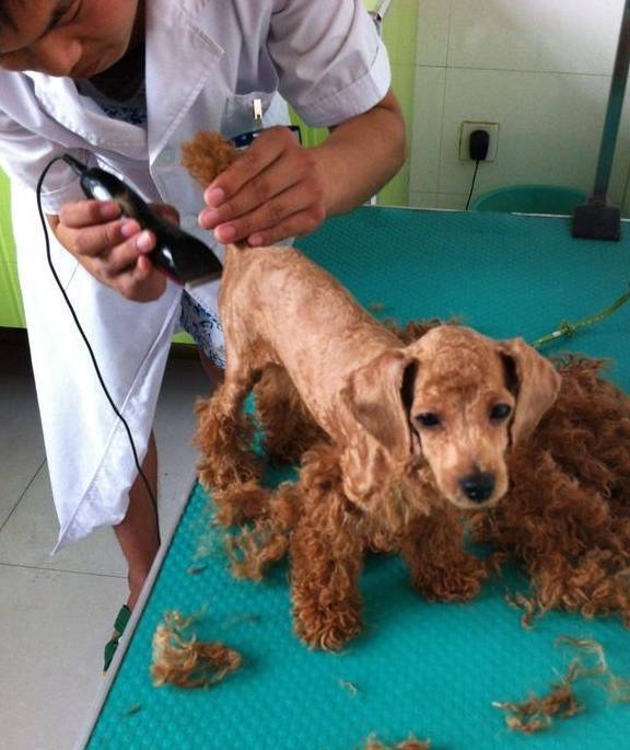 ̩ϵ4ԽԽã쿴һ°ɣ