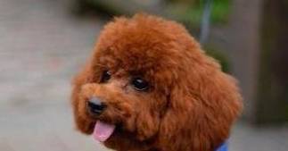 ̩ϵ4ԽԽã쿴һ°ɣ