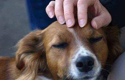 ֲʺ٣𣿸ֲܹһӭ