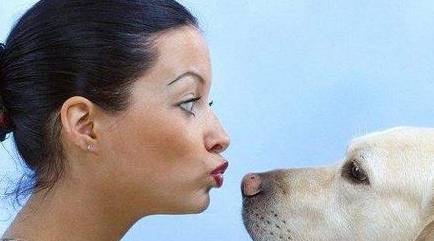 狗狗这5个个人行为看起来听话,实际上是它在操纵你! 狗狗这5个个人行为看起来听话,实际上是它在操纵你!