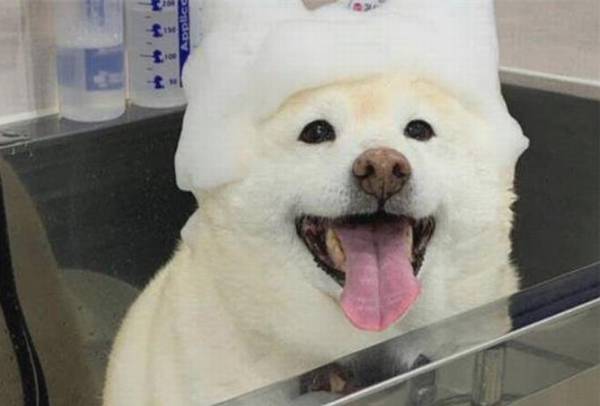 ���ո�����ϴ��ĺö������