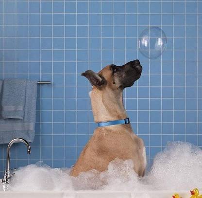 ������ϴ�裬��5��������ط������������˽�