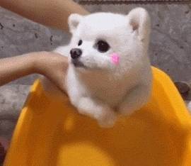 ������ϴ�裬��5��������ط������������˽�