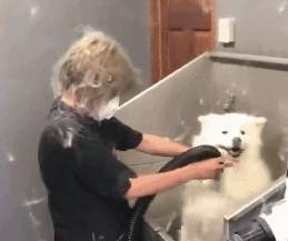 ������ϴ�裬��5��������ط������������˽�