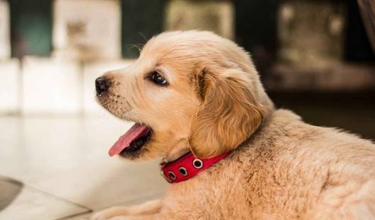 ������ϴ�裬��5��������ط������������˽�