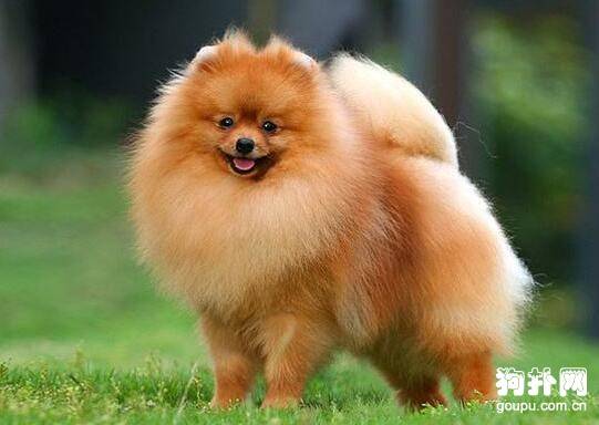 ��ɰ��Ĺ����ֹ���Ʒ����ô�ദ��