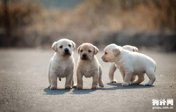 ���ִ���Ȯ���ʺϼ������̵��ʺϼ�����10�ִ���Ȯ