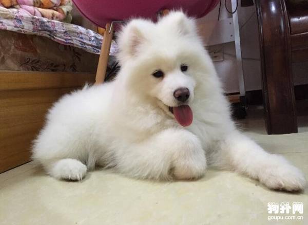 ���ִ���Ȯ���ʺϼ������̵��ʺϼ�����10�ִ���Ȯ