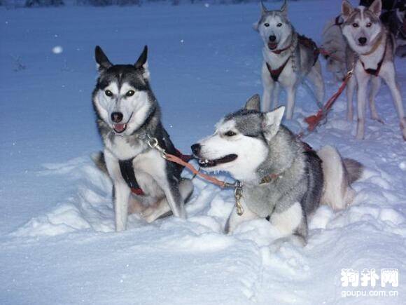 ���ִ���Ȯ���ʺϼ������̵��ʺϼ�����10�ִ���Ȯ