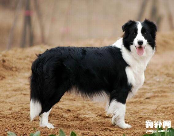 ���ִ���Ȯ���ʺϼ������̵��ʺϼ�����10�ִ���Ȯ