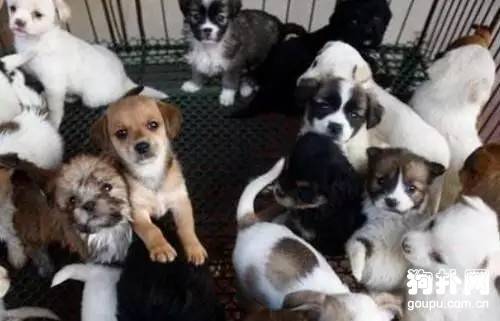 ʲô�ǡ����ڹ���?Ϊ��ҿ������ڹ����������Ļ